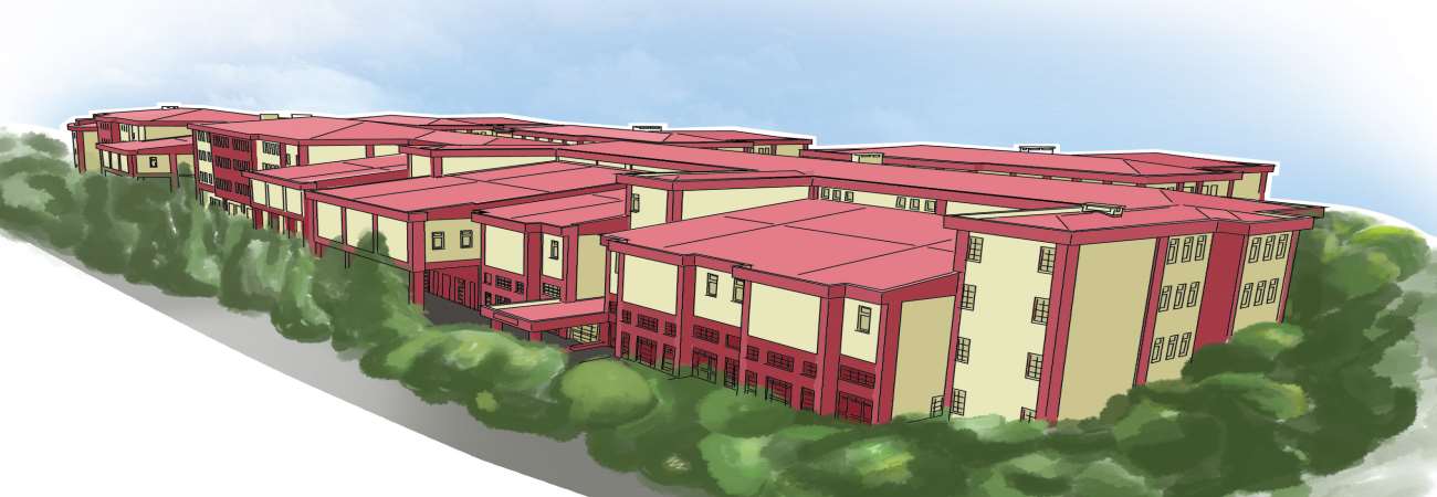 Faculty of Business and Management Sciences
